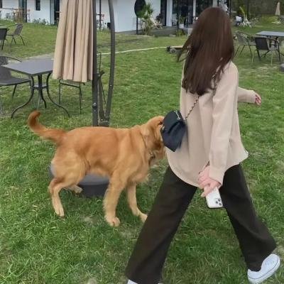 腹荷